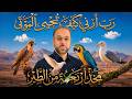 لماذا يريد نبي أن يرى بعينه أحياء الموتى لماذا اربعه من الطير تحديدا