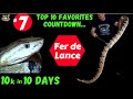 #7 "Fer de lance" Fang Strikes SLO MO TOP 10 Favorites