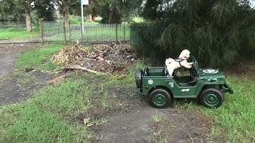 RC models of the St George Model Boat Club # 12