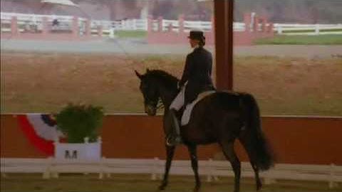 horse music video Learning How to Bend