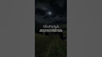 سورة الإسراء مشاري العفاسي | وكل إنسان ألزمناه طائره في عنقه  #quran #راحة_نفسية