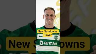 Mamelodi Sundowns New Signing sportsontiktok psl8