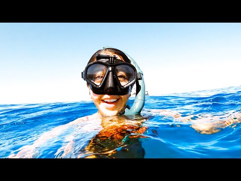 NEW DIVE MASK And How To Stop It Fogging Up - Ep 253