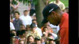 Tiger Woods Get Apple Thrown At Him