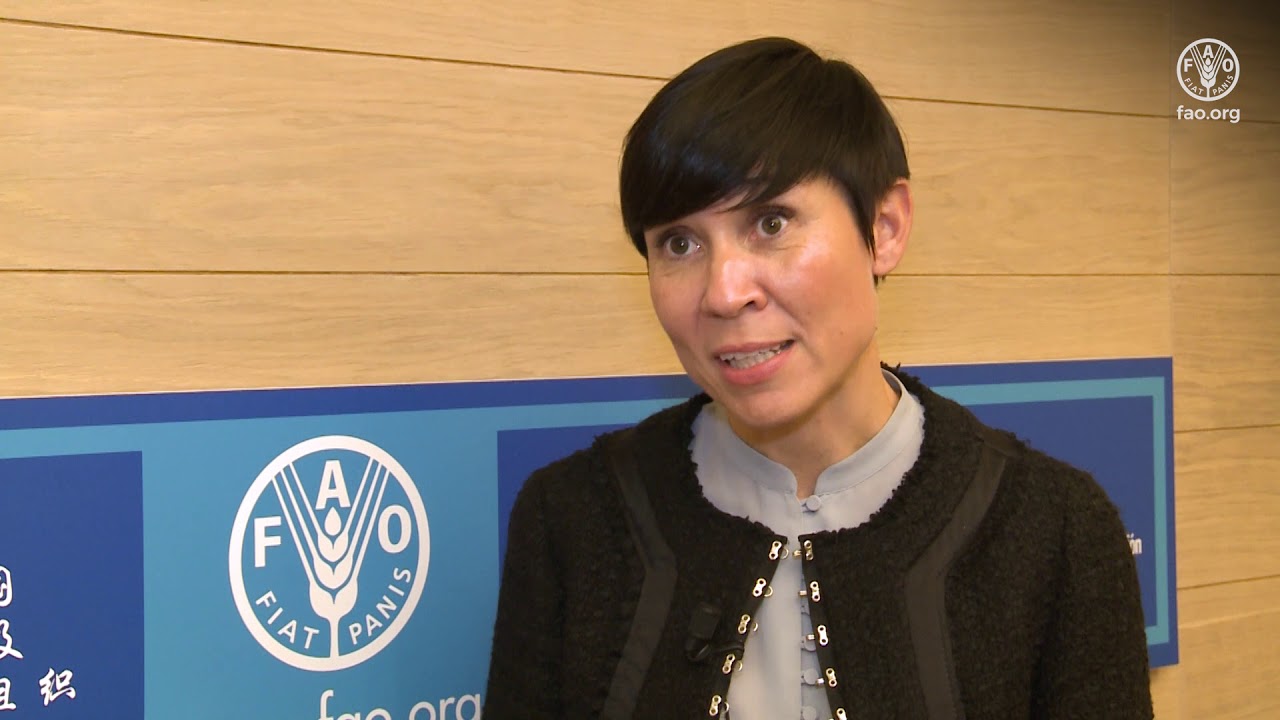 Remarks by Norway's Minister for Foreign Affairs