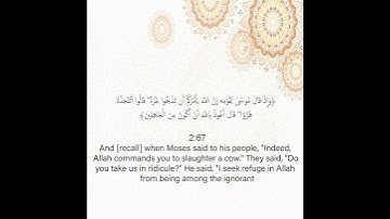 سورة البقرة من الآية 67 إلى الآية 68
