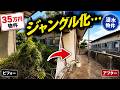 古民家がまるでジャングル…草刈り・伐採した結果がこちら【浸水物件編 #2】