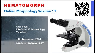 Hematomorph Session for Morphology