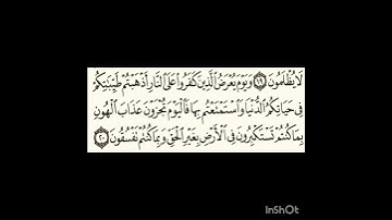 سورة الاحقاف آية٢٠ #سورةالفاتحة #اكسبلور #الرحمن #سورةالكوثر #لايك #المصحف #سورةالاخلاص #تيك_توك