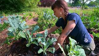Orangeries De Bierbais Art And Permaculture Residency Research Program Film By Ivan Put