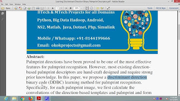 Learning Discriminant Direction Binary Palmprint Descriptor
