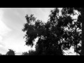 Toshiba Camileo SX900 - Monochrom Effekt Aufnahme - (FULL HD)