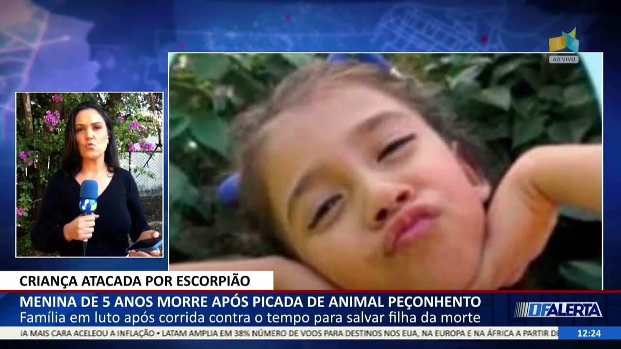 Menina de 5 anos morre após picada de animal peçonhento - 