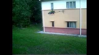 Esky Belt CP V2 hovering practice