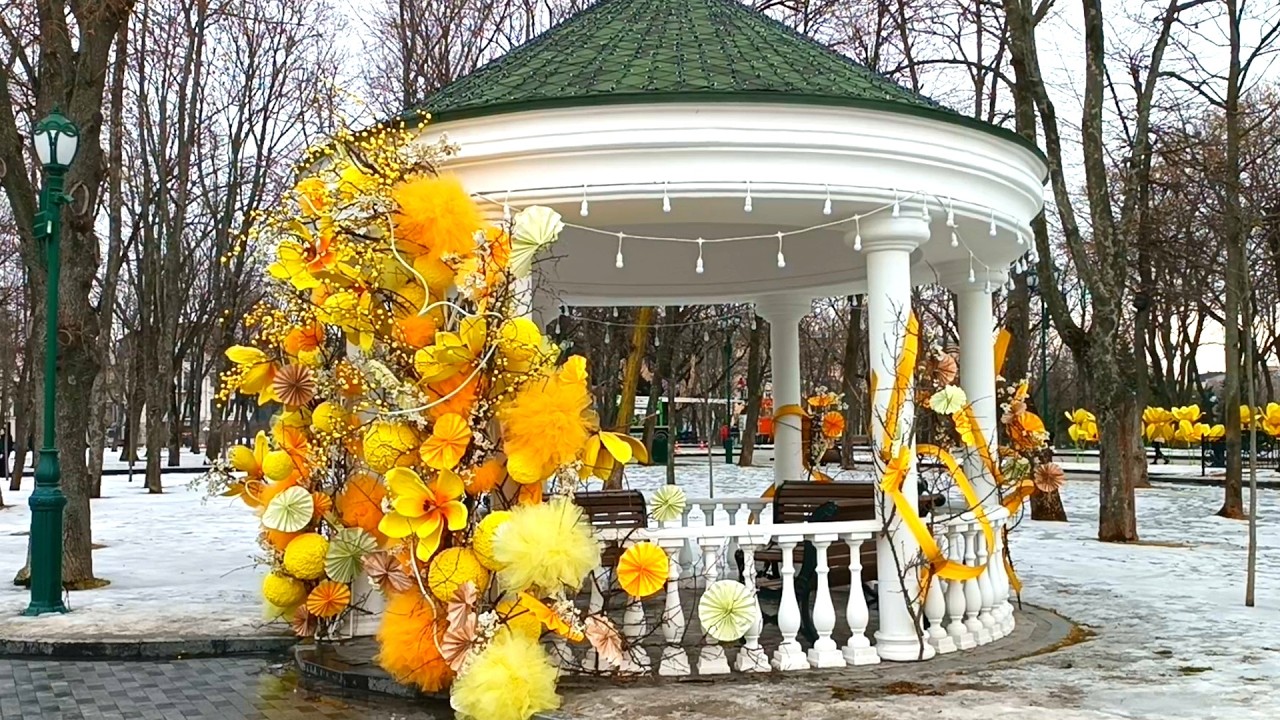 Весна - 2026 в Харькове. Мимозовый март. Сад Шевченко.