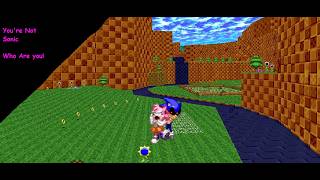 Amy Vs 2011X But In Sonic Robo Blast 2? Wilted Blossom
