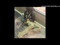 bleood yrsci zatru type beat - addiction