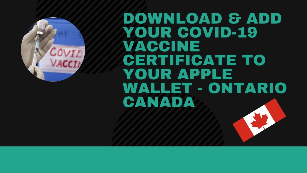 How To: Download and Add Covid-19 Vaccine Certificate to Apple Wallet