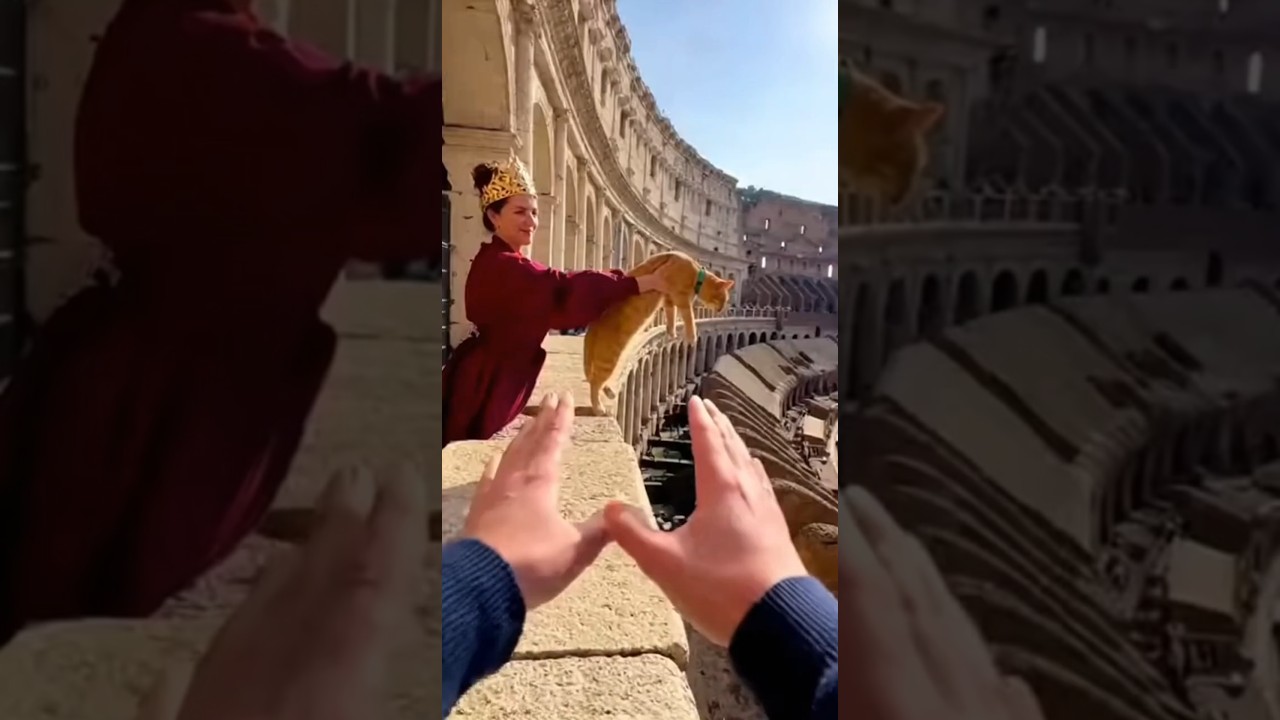 Queen Tried To Feed My Kitten To Lions… KARMA! 🚔🐱