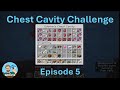 Mob Grinder, Forest Fires &amp; Questionable Meat 😳🔥 | Minecraft Chest Cavity Mod Ep  5 | The Dadcrafter