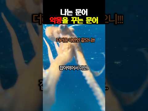 고생 끝에 결국..ㅋㅋ thumbnail