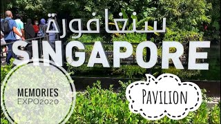 Singapore Pavilion Memories Of Dubai Expo 2020 In Madrasi Urdu Only On Skoolknit