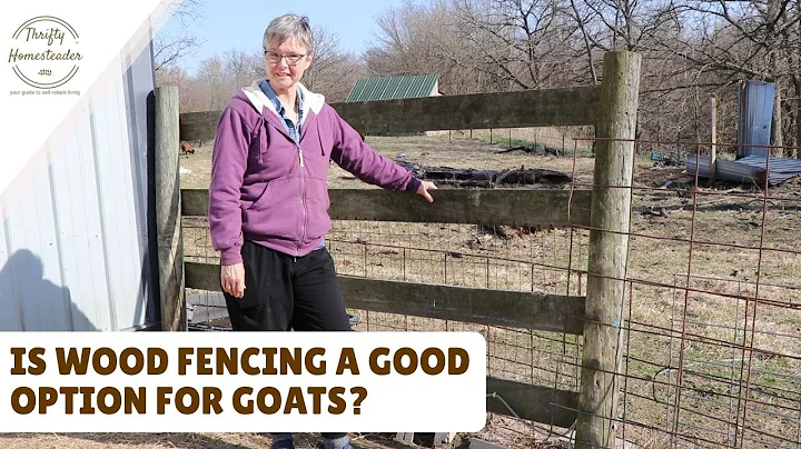 Why Wood Fencing Doesn’t Work for Goats (Our First Big Mistake)