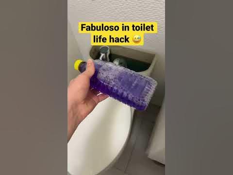 fabuloso in toilet
