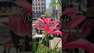 #newyork #youtubeindia #usa #newyorkcity #empirebuilding #heraldsquare #fypage #viral #summer #fypシ