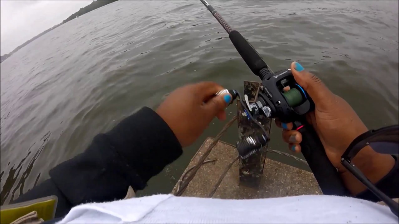 Delaware River Striped Bass YouTube