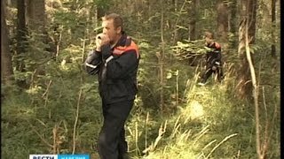 Правила поведения в лесу видео Как не заблудиться в лесу? ОБЖ от Патриоток