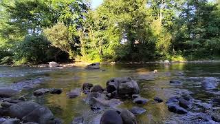 Perrito bañándose en el río Asón | Viaje a Ramales de La Victoria (Cantabria, España)