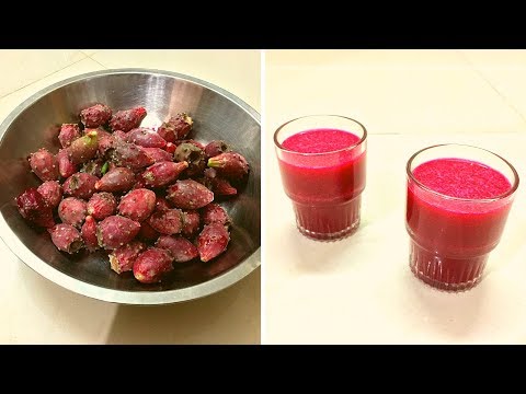 Cactus fruit juice ફિન્ડલા નૂ શરબત नागफनी