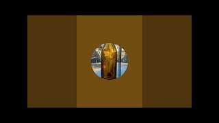 Collector Paul s Bottle Auction