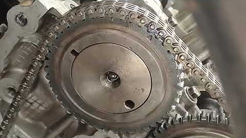 celerio timing chain