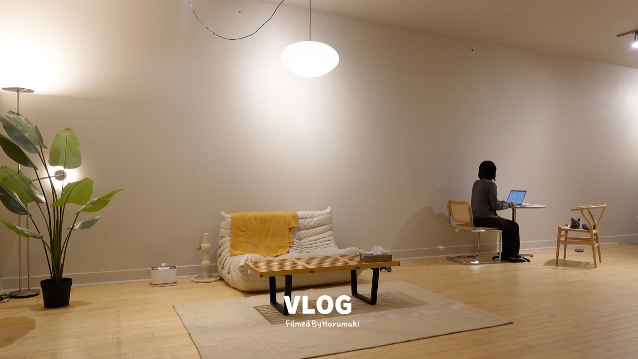 home vlog) 夜のリビング｜20代夫婦と子猫の暮らし｜ホームグッズ購入品紹介