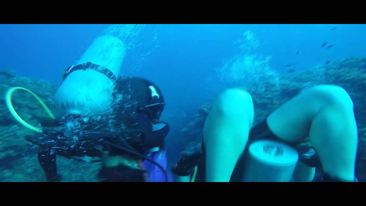 Diving Toilet Bowl YouTube