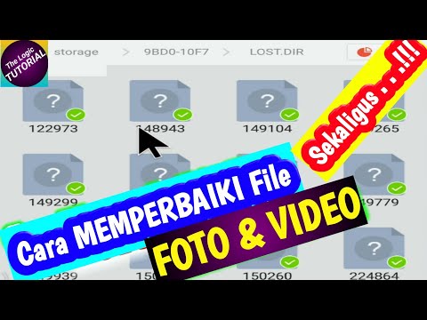 How to Restore PHOTO and VIDEO Files in FOLDER LOST DIR