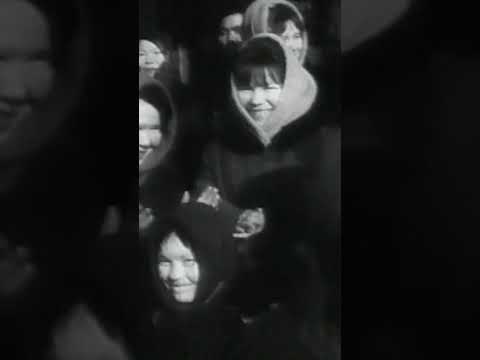 Video: Sabzi va uni to'g'ri etishtirish uchun o'g'it