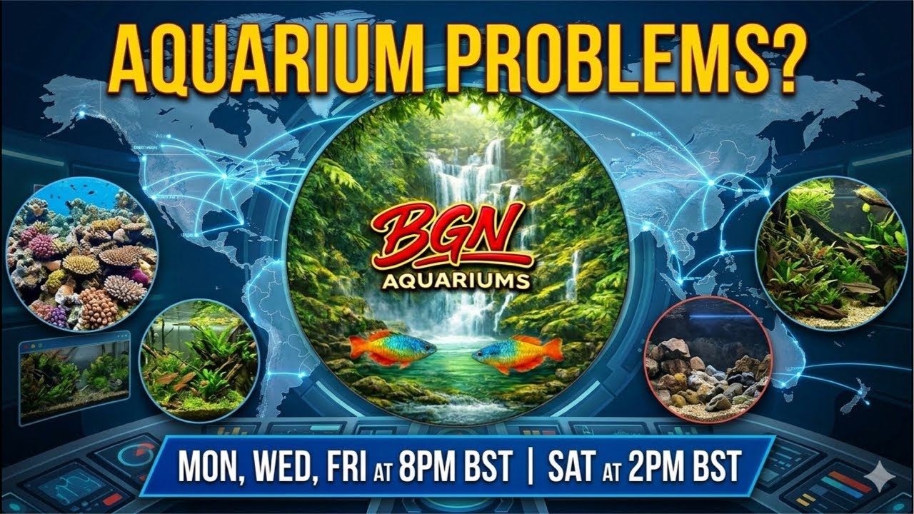 BGN Aquariums Fishkeeper Club Livestream 5/6/26