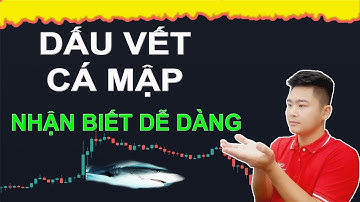 BÍ MẬT NHÀ CÁI - đầu tư theo cá mập , dấu vết của cá mập trong thị trường tài chính forex -coin-ck
