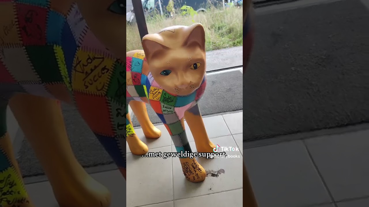 Adil and Bilal and one big cat 