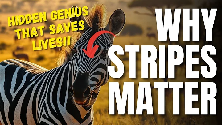 WHY DO ZEBRAS HAVE STRIPES? THE SURPRISING TRUTH REVEALED!
