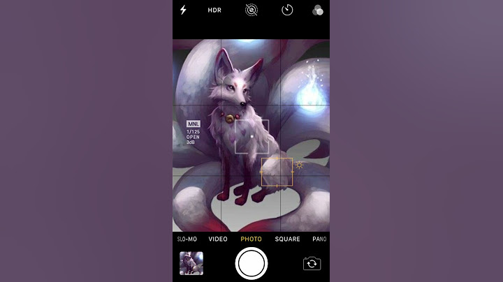 kitsune (7 or 9 tails fox)