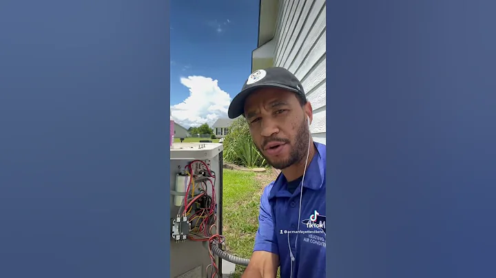 HVAC ant problem - DayDayNews