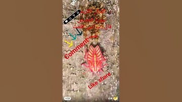 #القران_الكريم #تلاوه_خاشعه #قال رب انیی ظلمت نفسی #duet #foryou #المصحف #foryou