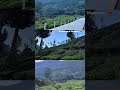 Munnar Memories #munnar