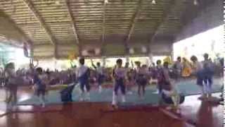 Engineering Pep Squad 2014