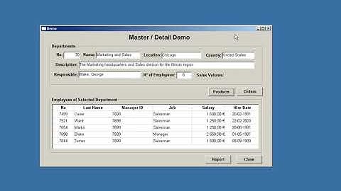 Powerbuilder application before being converted to .NET