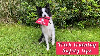 Dog trick training - safety tips by Rory the Quirky Border Collie Tricks 691 views 1 year ago 2 minutes, 36 seconds